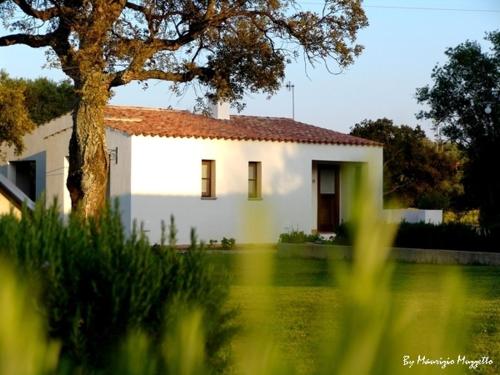 Zahrada ubytování Agriturismo Li Scopi