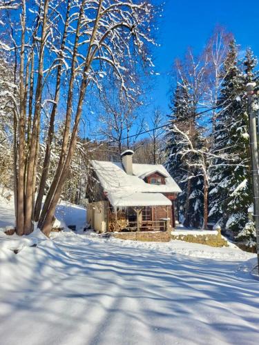 Srub v Bolkovském údolí