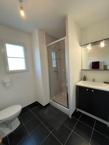 une salle de bain avec une douche, un lavabo et des toilettes dans l'établissement Charmant T2 rénové avec balcon, proche plage et commerces, à Arès
