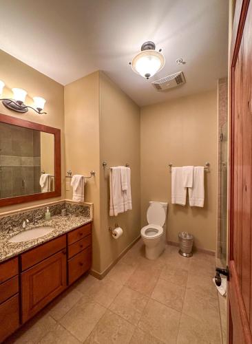 a bathroom with a toilet and a sink and a mirror at GrayRock in Eagle