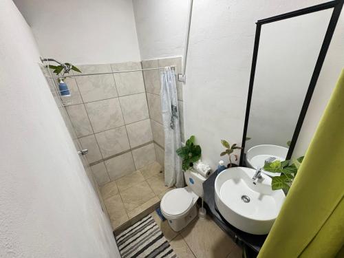 Koupelna v ubytování Passifloras Hostel