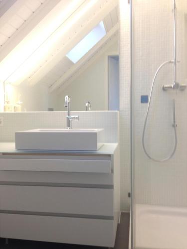 a bathroom with a sink and a shower at Carouge Loft Apartment in Geneva