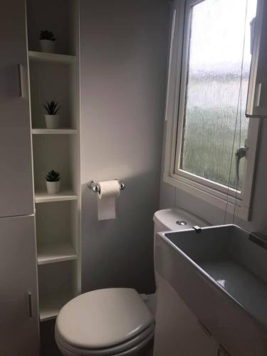 une salle de bain avec toilettes, lavabo et fenêtre dans l'établissement Mobilhome de Lucie et Julien, aux Mathes
