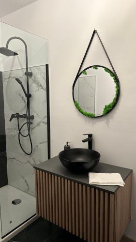 a bathroom with a sink and a mirror on the wall at Rodnei Retreat & Spa in Borşa