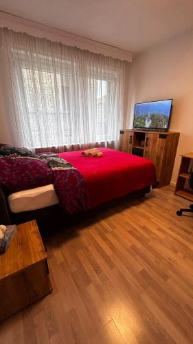 a bedroom with a bed and a flat screen tv at Ferienwohnung in Detmold in Detmold