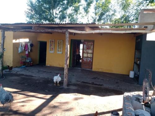a chicken standing in front of a yellow building at Casa Campo en Maximo Fernadez Bragado in Bragado