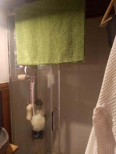a shower in a bathroom with a green curtain at The Stables in Gloucestershire