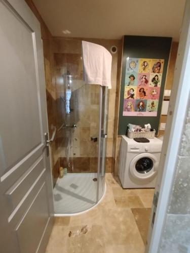 une salle de bain avec douche et machine à laver dans l'établissement maison luxe disney aeroport tillé 2 a 5 personnes, à Tillé