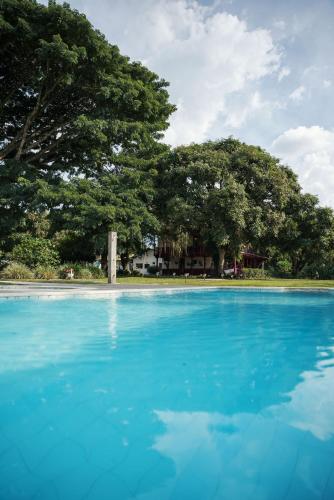 a large blue pool with trees in the background at Finca Hotel in Armenia