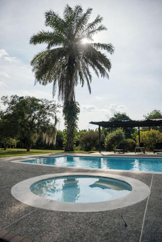 a palm tree and a swimming pool with a palm tree at Finca Hotel in Armenia