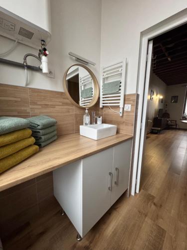 un bagno con lavandino e specchio di L’île aux ch’tis a Lille