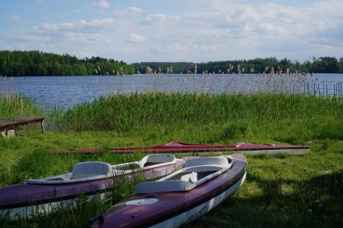 a group of boats sitting on the grass near a lake at Domki nad jeziorem Węgorzyno in Augustowo
