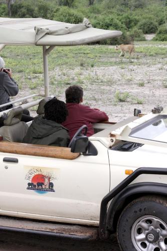 a group of people riding in the back of a white vehicle at Cresta Mowana Safari Resort & Spa in Kasane