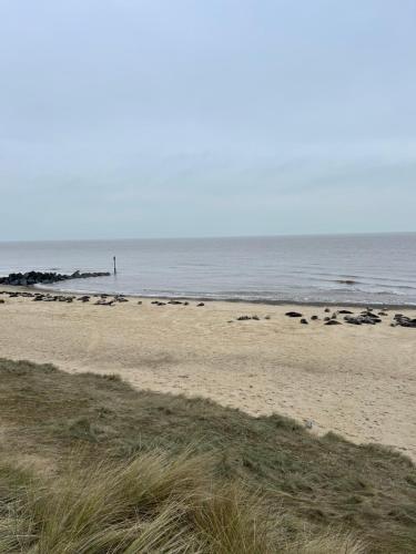 a beach with a person standing in the water at Vicarage Hideaways in Halvergate