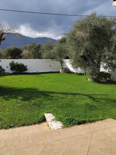 a green yard with a white wall and a tree at Secret Garden in Diakopto