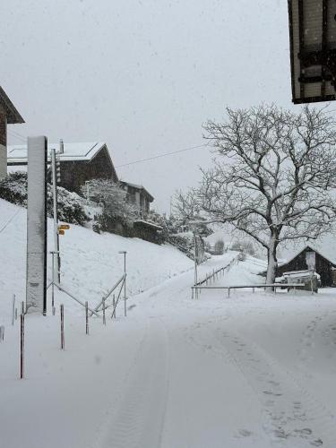 a snow covered street with a tree and a house at LakeSide Villa - 18 in Niederried