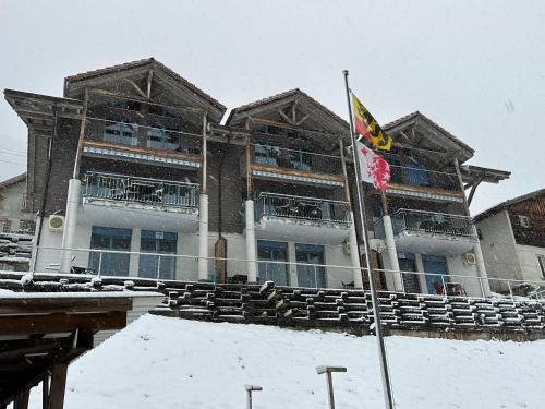 a flag in front of a building in the snow at LakeSide Villa - 18 in Niederried