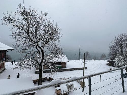 a snow covered slope with a tree and people walking in the snow at Lake View Residence in Niederried