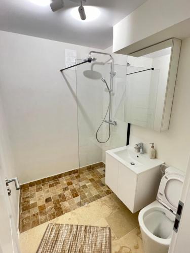 ein Badezimmer mit Dusche, Toilette und Waschbecken in der Unterkunft Central Premium Apartment in Iaşi