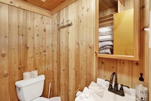 SugarloafにあるSugar Bear Pines by Big Bear Vacationsのトイレと洗面台のあるバスルーム