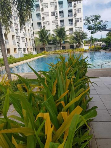 Bazén v ubytování Cozy 2 bedroom Condo in Davao near Airport with balcony nebo v jeho okolí