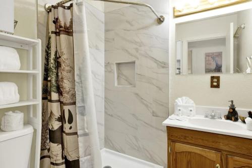 een badkamer met een douche en een wastafel bij Green Squirrel Chateau by Big Bear Vacations in Big Bear Lake