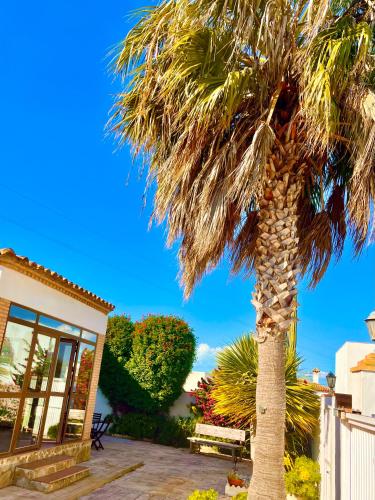 Κήπος έξω από το Chalet Duna
