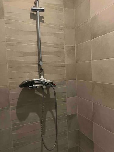 une douche avec un tuyau dans une salle de bain dans l'établissement Bel appartement F2 rénové plein centre ville, à Pont-à-Mousson