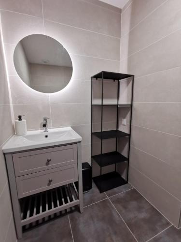 une salle de bain avec un lavabo et un miroir dans l'établissement Appartement 4 personne, à Fraize