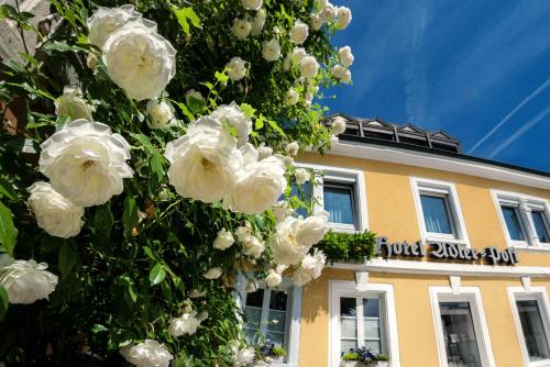 un árbol con flores blancas delante de un edificio en Hotel Adler Post en Schwetzingen