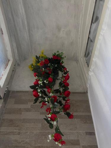 a bouquet of red roses in a room at Casa vacanze Piazza Immacolata in Molfetta