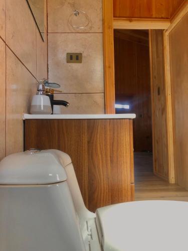a small bathroom with a toilet and a sink at hermosa casa vacacione en licanray in Trape