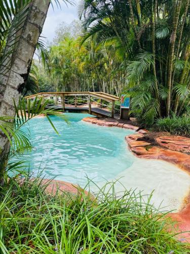 a small pool with a bridge in a forest at Paradise Palms at Aanuka Resort Diggers Beach Quiet Villa in Coffs Harbour