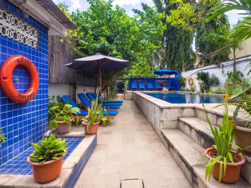 Κήπος έξω από το Dive Timor Guesthouse and Apartments