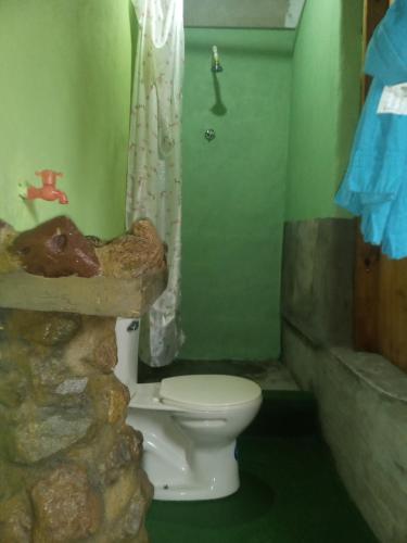a bathroom with a toilet and a rock wall at Berkey's Jungle Paradise Resort in Roseau