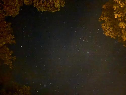 a night sky filled with stars and trees at Eternal Forest Beach Bar&Bungalow in Koh Chang Ranong