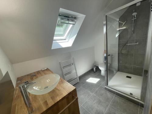 une salle de bain avec un lavabo et une douche dans l'établissement Gîte de charme aux portes d'Amboise avec grand jardin et Wi-Fi - FR-1-381-604, à Reugny