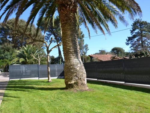 Appartement T3 avec jardin privé et Wi-Fi à Capbreton - FR-1-239-1099