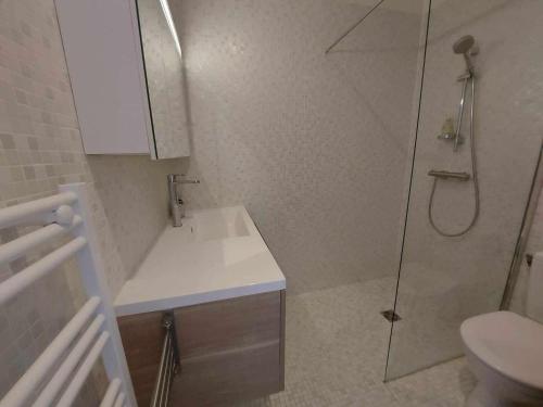 une salle de bain avec une douche, un lavabo et des toilettes dans l'établissement Appartement 2 pièces climatisé en front de mer pour 4 personnes - FR-1-423-313, au Grau-dʼAgde