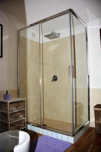 a shower with a glass enclosure in a bathroom at Residenza Nialiccia in Abbiadori