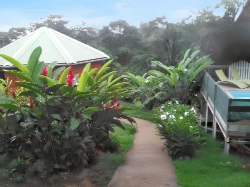 a path in a garden with plants and a building at Bungalow charmant avec piscine partagée à Le Robert in Le Robert