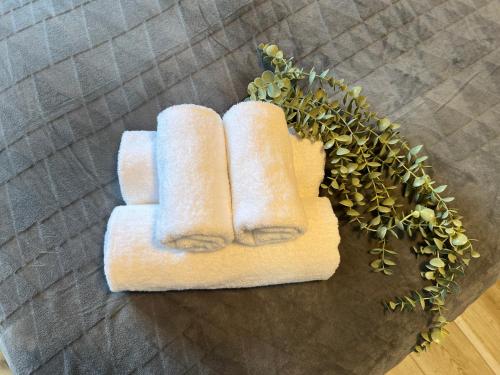Ikebukuro Area 2 Units NishiikeApartment