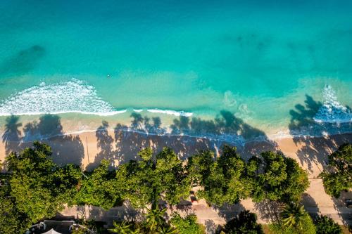 an aerial view of a beach with trees and the ocean at Thalassa Seychelles in Beau Vallon