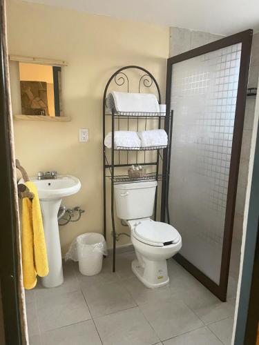 a bathroom with a toilet and a sink at Cabaña Círculo Mágico in San Miguel Regla