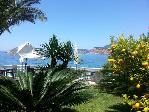 Gallery image of Apartments Villa Mare Mar in Sutomore