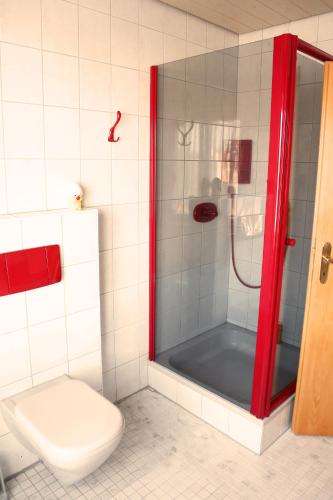 a bathroom with a shower with a toilet and a sink at Ferienhaus Gleissbuck in Schönbronn