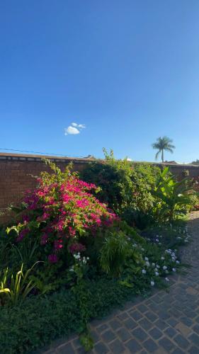 a garden with pink and purple flowers on a brick wall at Excellentia Antsirabe in Antsirabe