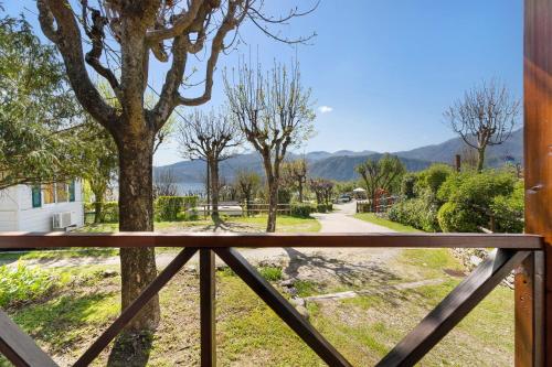 a view from the balcony of a house with a tree at Camping Royal in Pettenasco
