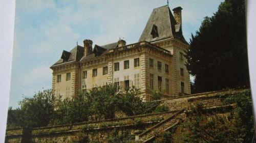 a large building with a tower on top of it at Château de Chasseneuil sur Bonnieure in Chasseneuil-sur-Bonnieure