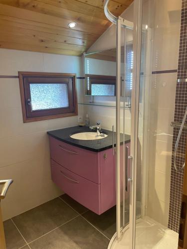 une salle de bain avec un lavabo et une douche dans l'établissement Gîte du roy, à Taninges